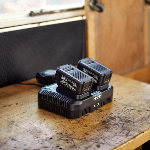 HERCULES - 20/12V Cargador Multi-Voltaje de Doble Puerto con USB Dual - 56224 - Imagen 7
