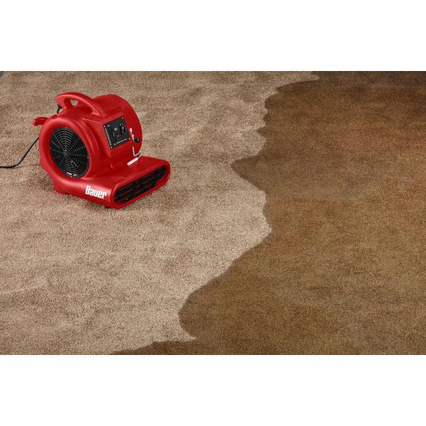 BAUER - 2400 CFM, 1/3 HP Floor Blower - 57954 - Imagen 10